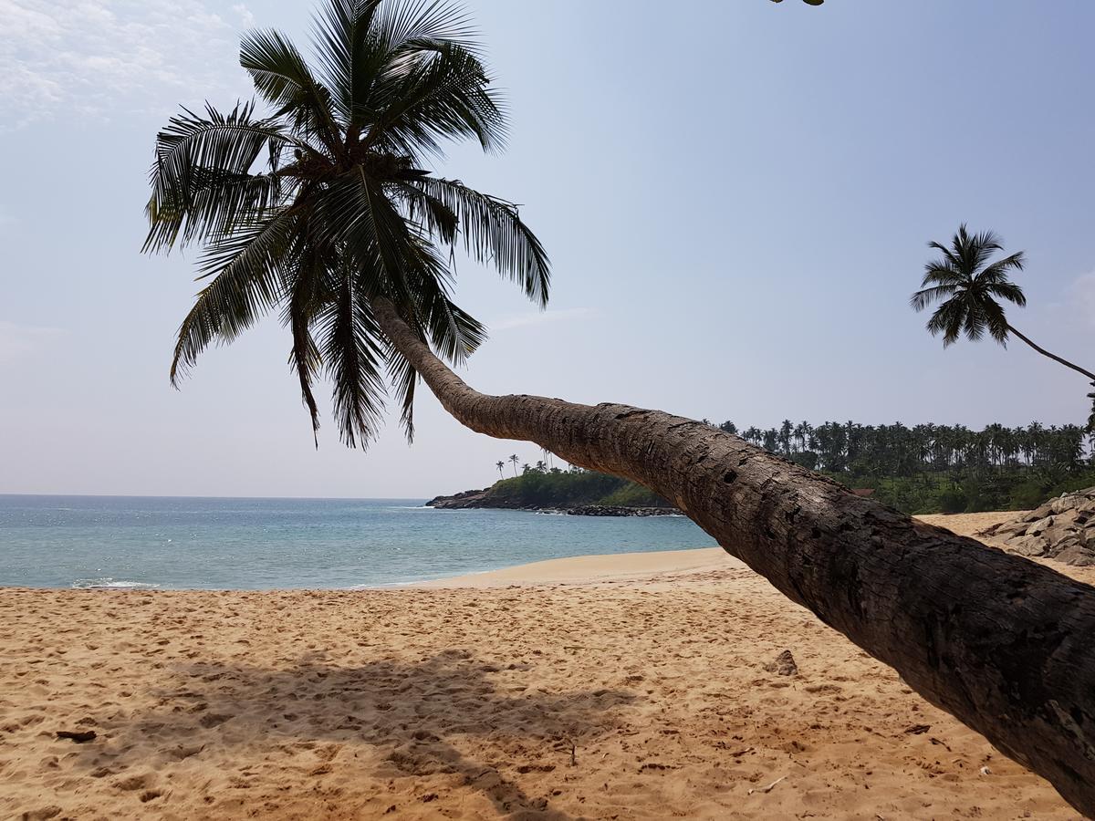 Tangalle Bay Cottages Eksteriør billede